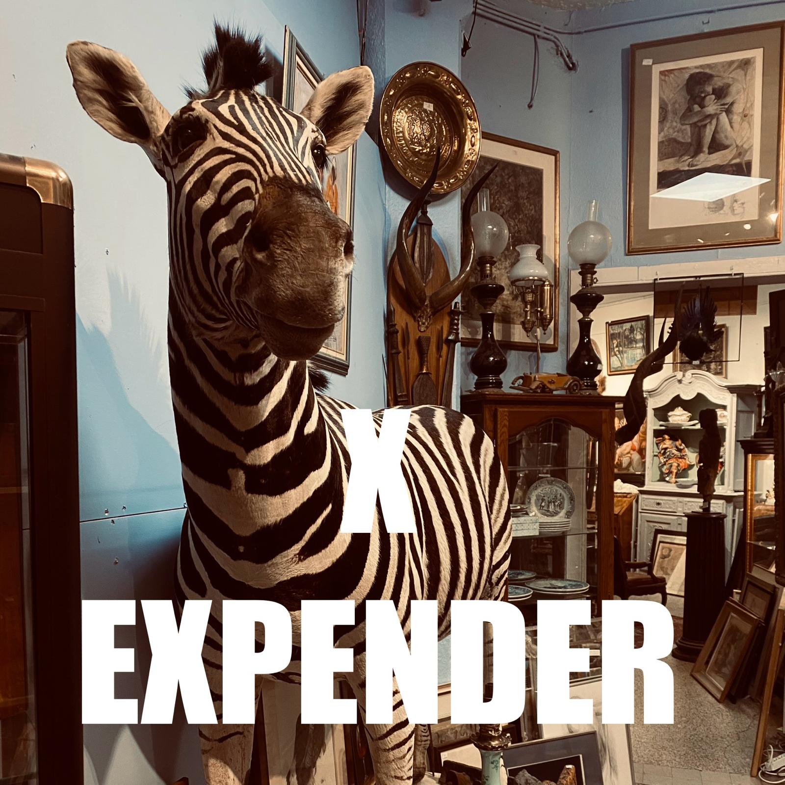 X Expender